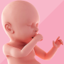 icon Pregnancy(Zwangerschapstracker dag voor dag)