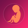 icon Zwangerschapsmeter(Pregancymeter Babytips:)