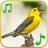 icon Birds sounds & ringtones(Birds Sounds Ringtones) 1.1