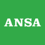 icon ANSA