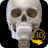 icon Skelett(Skelet 3D Anatomie) 2.4.3