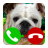 icon Fake Call Dog Game(fake call dog game) 2.0