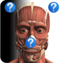 icon Anatomy Quiz Lite(Anatomie Quiz)