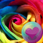 icon Roses HD Wallpapers(Mooie rozen HD-achtergronden)