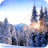 icon Winter Paradise 4K Live Wallpaper(Winter Paradise 4K Live Wallpaper
) 1.0.0