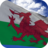 icon Wales Flag(Welshe vlag Live Wallpaper) 4.5.7