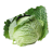 icon tj.agroinform.cabbage(kool van A tot Z