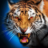 icon Wild Tiger Family Simulator(Tiger Simulator 3D Animal Game) 1.9