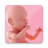 icon Pregnancy(Zwangerschapstracker dag voor dag) 1.2.7