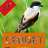 icon Tips Perawatan Cendet(Birds Cendet Care-tips) 1.3