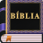 icon Novo Testamento Novo Testamento grátis 6.0