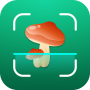 icon Mushroom Identifier(Paddestoel-ID: Schimmelidentificatie)