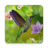 icon Hummingbirds live wallpaper(Kolibries behang) 1.0.9