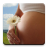 icon ru.fedr.pregnancy(Zwangerschaps kalender) 2.4.1