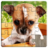 icon Dog Puzzles(Dogs Jigsaw Puzzle Game Kids) 20.6