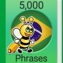 icon com.funeasylearn.phrasebook.brazilian(Leer Braziliaans Portugees
)