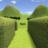 icon 3D Maze(3D doolhof / labyrint) 4.8