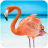 icon The Flamingo(The Flamingo
) 1.0.4