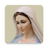 icon com.jasp.rosarioVirgenMaria(Rozenkrans Maagd Maria) 7.6