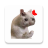 icon Stickers Cats Memes(Cat Memes Stickers WASticker) 2.2.0
