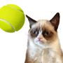 icon Tennis Cat(Cat Tennis: Battle Meme)