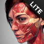 icon Action Anatomy Lite(Action Anatomy - 3D anatomy pose-app voor artiesten
)
