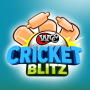 icon Cricket Blitz(WCC Cricket Blitz)