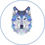 icon Wolf Network(Wolf Network
)