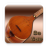 icon Persian Setar(Saz Perzische Setar Pro) 3.3
