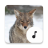 icon Coyote Sounds 4.1.6