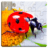 icon se.appfamily.puzzle.insects.free(Insect Jigsaw Puzzle Game Kids) 25.0