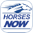 icon Horses Now(Paarden nu) 3.4.6
