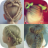 icon Cute girl hairstyles 2017(Leuk meisje kapsels) 20.0.0