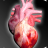 icon Circulatory System in 3D Anatomy(Circulatory System 3D Anatomy) 1.9.5
