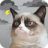 icon Grumpy Weather(Grumpy Cat Weather) 5.9.4