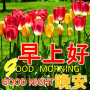 icon Chinese Good morning till night blessing love(Chinese Good Morning to Night
)