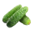 icon tj.agroinform.cucumber(Komkommer: van 