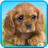 icon Talking Puppy(Pratende puppy) 1.720.1.633