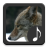 icon Coyote Sounds 3.1.0