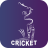 icon Cricket Mania(Cricket Mania - LiveScore
) 4.0