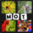 icon 4 Images 1 Mot 2021(4 afbeeldingen 1 woord 2023) 2