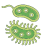 icon Bacteria(Bacteriën: soorten, infecties) 1.0.36.135
