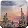 icon Snowfall Free Live Wallpaper (Sneeuwval Gratis Live Wallpaper)