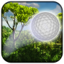 icon Forest Golf()
