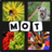 icon 4 Images 1 Mot 2021(4 afbeeldingen 1 woord 2023) 9