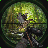 icon US Sniper Birds Hunting Jungle() 1.0
