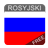 icon Rosyjski(Russisch - Leer een taal) 9.0.14