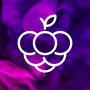 icon Amora(Amora
)
