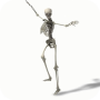 icon Dancing Skeleton Video LWP(Dansend skelet Videothema's)