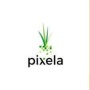 icon Pixela Pay(Pixela Pay
)
